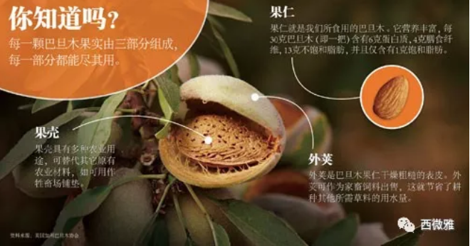 貴族堅(jiān)果-加州扁桃仁(圖12) 貴族堅(jiān)果-加州扁桃仁(圖12)