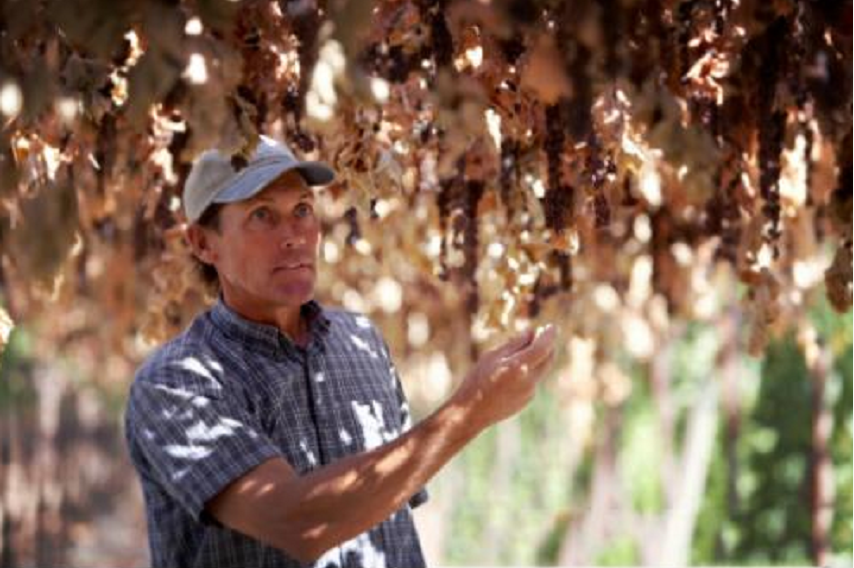 西微雅邀請美國加州葡萄干管理委員會陸老師為員工進行產(chǎn)品培訓(圖7)