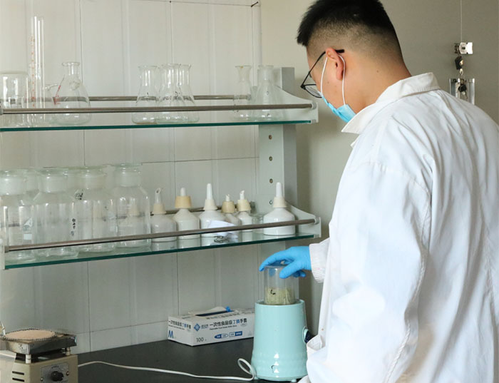 扁桃仁片 扁桃仁片