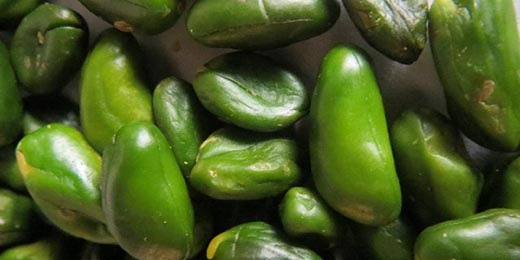 開(kāi)心果醬 開(kāi)心果醬